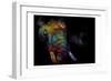 Kaleidoscope Elephant-Sander Van Laar-Framed Art Print