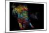 Kaleidoscope Elephant-Sander Van Laar-Mounted Art Print