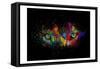 Kaleidoscope Eyes-Sander Van Laar-Framed Stretched Canvas