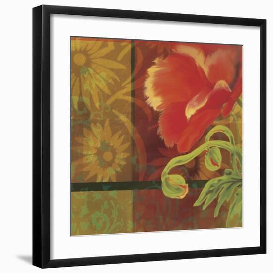 Kaleidoscope I-Tandi Venter-Framed Giclee Print