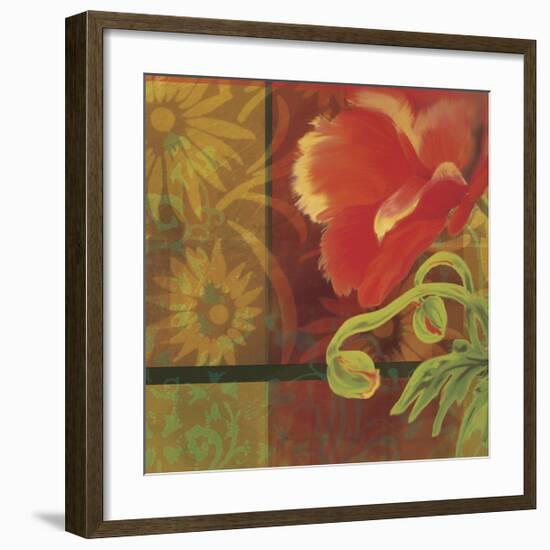 Kaleidoscope I-Tandi Venter-Framed Giclee Print