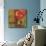 Kaleidoscope I-Tandi Venter-Mounted Giclee Print displayed on a wall