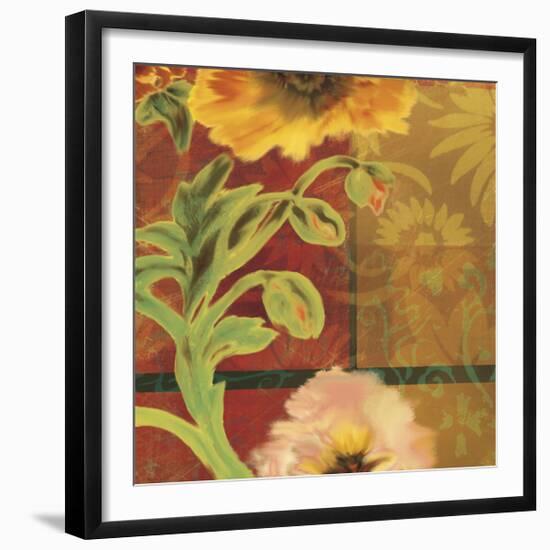 Kaleidoscope II-Tandi Venter-Framed Giclee Print