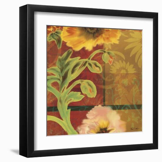 Kaleidoscope II-Tandi Venter-Framed Giclee Print