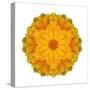 Kaleidoscope Marigold-David Bookbinder-Stretched Canvas