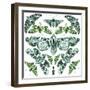 Kaleidoscope Moths-Kristine Hegre-Framed Giclee Print