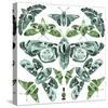 Kaleidoscope Moths-Kristine Hegre-Stretched Canvas