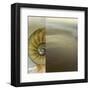 Kaleidoscope Of Memories I-Sidney Aver-Framed Art Print