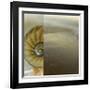 Kaleidoscope Of Memories I-Sidney Aver-Framed Giclee Print