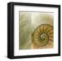 Kaleidoscope Of Memories II-Sidney Aver-Framed Art Print