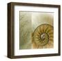 Kaleidoscope Of Memories II-Sidney Aver-Framed Art Print