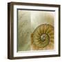 Kaleidoscope Of Memories II-Sidney Aver-Framed Art Print