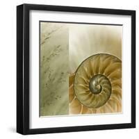 Kaleidoscope Of Memories II-Sidney Aver-Framed Art Print