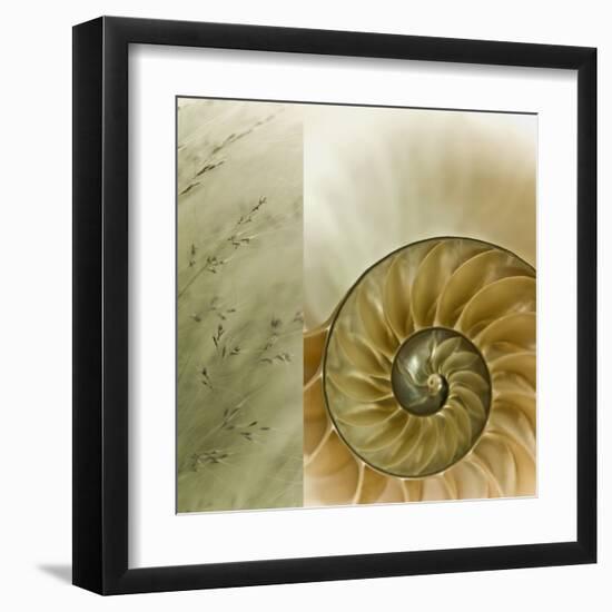 Kaleidoscope Of Memories II-Sidney Aver-Framed Art Print