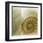 Kaleidoscope Of Memories II-Sidney Aver-Framed Art Print