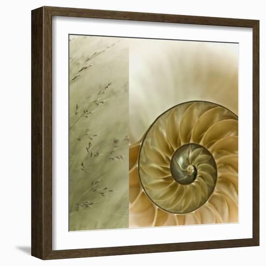 Kaleidoscope Of Memories II-Sidney Aver-Framed Art Print