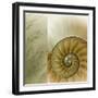 Kaleidoscope Of Memories II-Sidney Aver-Framed Art Print