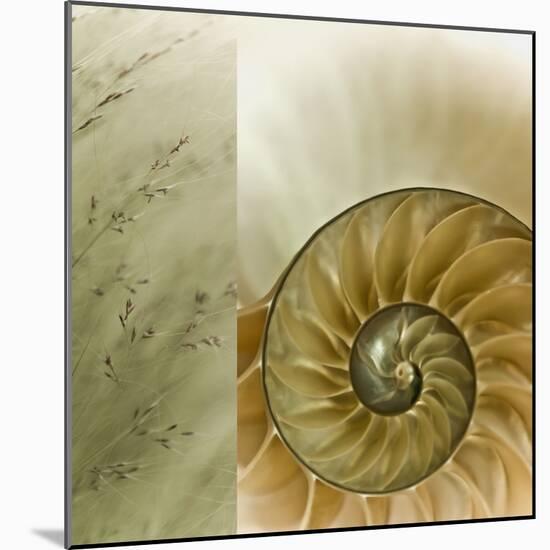 Kaleidoscope Of Memories II-Sidney Aver-Mounted Art Print