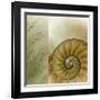 Kaleidoscope Of Memories II-Sidney Aver-Framed Giclee Print