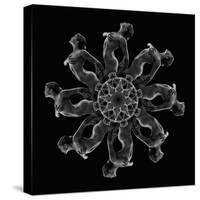 Kaleidoscope pattern of naked woman posing against black background-Panoramic Images-Stretched Canvas