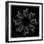 Kaleidoscope pattern of naked woman posing against black background-Panoramic Images-Framed Photographic Print