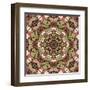 Kaleidoscope Pattern-natbasil-Framed Art Print