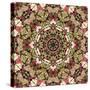 Kaleidoscope Pattern-natbasil-Stretched Canvas