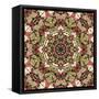 Kaleidoscope Pattern-natbasil-Framed Stretched Canvas