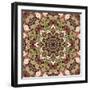 Kaleidoscope Pattern-natbasil-Framed Art Print