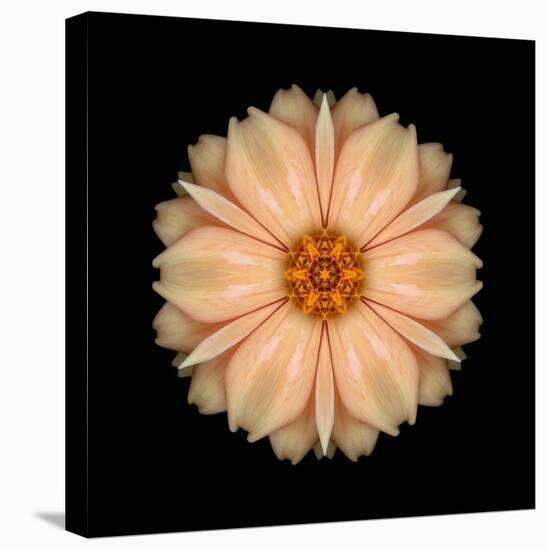 Kaleidoscope Peach Dahlia-David Bookbinder-Stretched Canvas