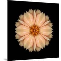 Kaleidoscope Peach Dahlia-David Bookbinder-Mounted Art Print