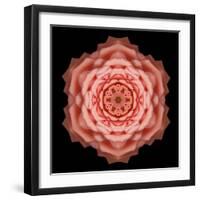 Kaleidoscope Rose-David Bookbinder-Framed Art Print