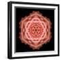 Kaleidoscope Rose-David Bookbinder-Framed Art Print