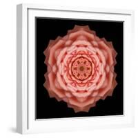 Kaleidoscope Rose-David Bookbinder-Framed Art Print