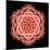 Kaleidoscope Rose-David Bookbinder-Mounted Art Print