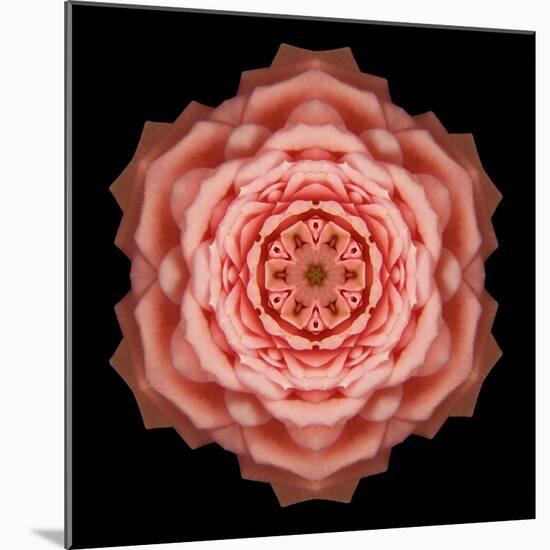 Kaleidoscope Rose-David Bookbinder-Mounted Art Print