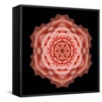 Kaleidoscope Rose-David Bookbinder-Framed Stretched Canvas