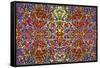 Kaleidoscope Smash-Ray2012-Framed Stretched Canvas