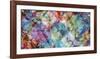 Kaleidoscope-Butler-Framed Giclee Print