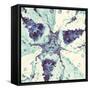 Kaleidoscope-Patricia Pinto-Framed Stretched Canvas