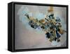 Kaleidoscope-Kari Taylor-Framed Stretched Canvas