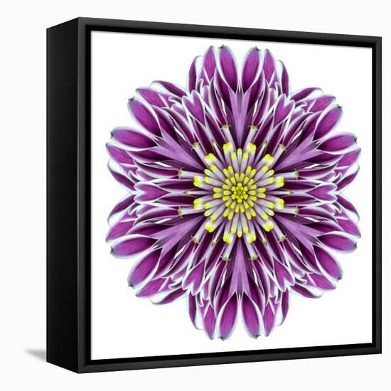 Kaleidoscopic Chrystanthemum Flower Mandala-tr3gi-Framed Stretched Canvas