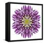 Kaleidoscopic Chrystanthemum Flower Mandala-tr3gi-Framed Stretched Canvas