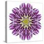 Kaleidoscopic Chrystanthemum Flower Mandala-tr3gi-Stretched Canvas