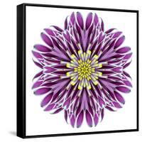 Kaleidoscopic Chrystanthemum Flower Mandala-tr3gi-Framed Stretched Canvas