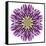 Kaleidoscopic Chrystanthemum Flower Mandala-tr3gi-Framed Stretched Canvas