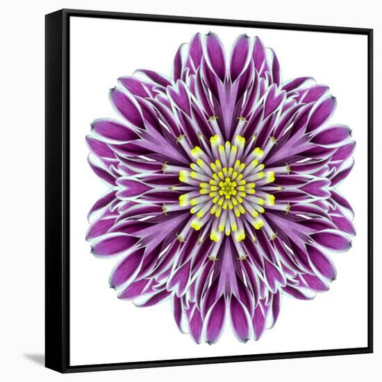 Kaleidoscopic Chrystanthemum Flower Mandala-tr3gi-Framed Stretched Canvas