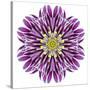 Kaleidoscopic Chrystanthemum Flower Mandala-tr3gi-Stretched Canvas