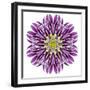 Kaleidoscopic Chrystanthemum Flower Mandala-tr3gi-Framed Premium Giclee Print