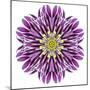 Kaleidoscopic Chrystanthemum Flower Mandala-tr3gi-Mounted Premium Giclee Print